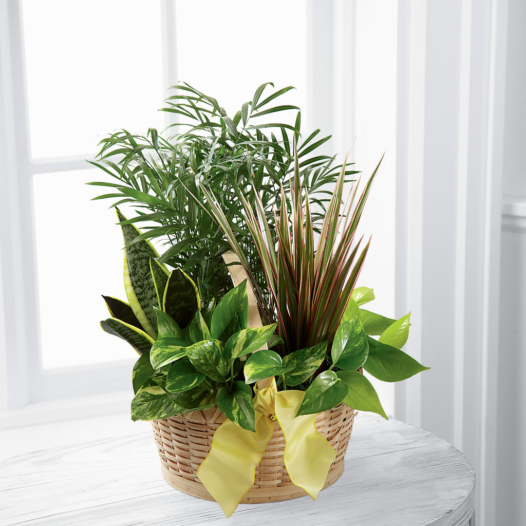 French Garden – Hawes Florist Llc, Maynard MA