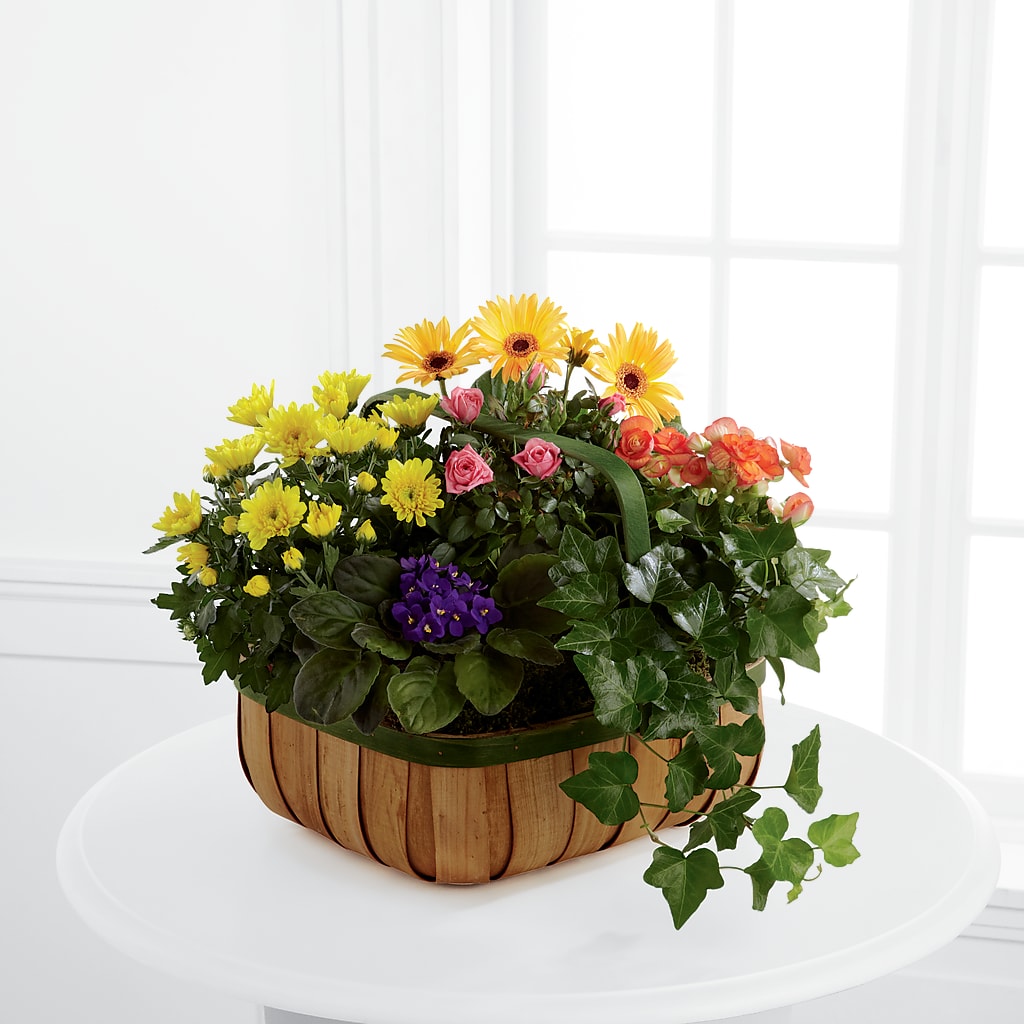 Gentle Blossoms Basket – Hawes Florist Llc, Maynard MA