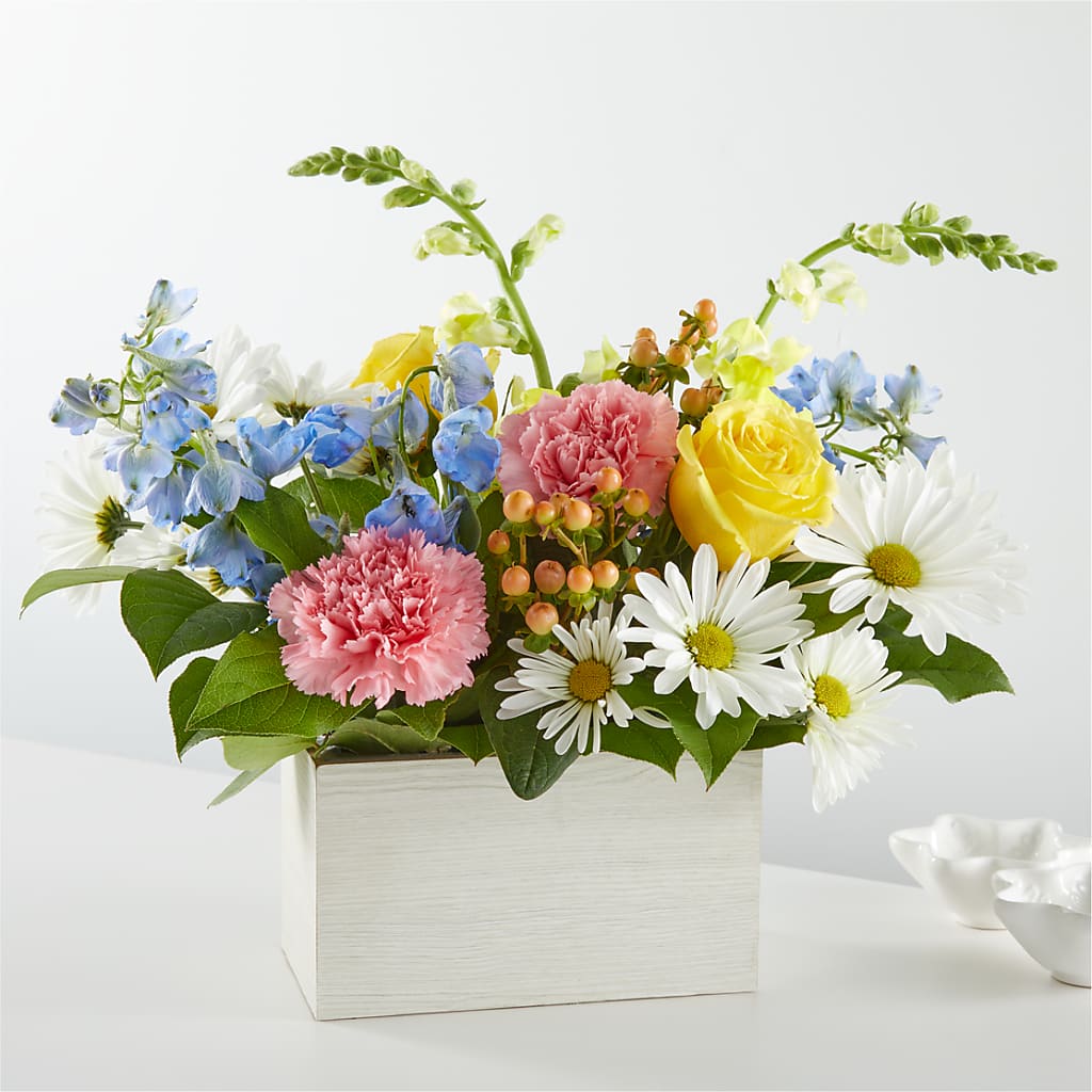 Sun Salutation Box Bouquet – Hawes Florist Llc, Maynard MA