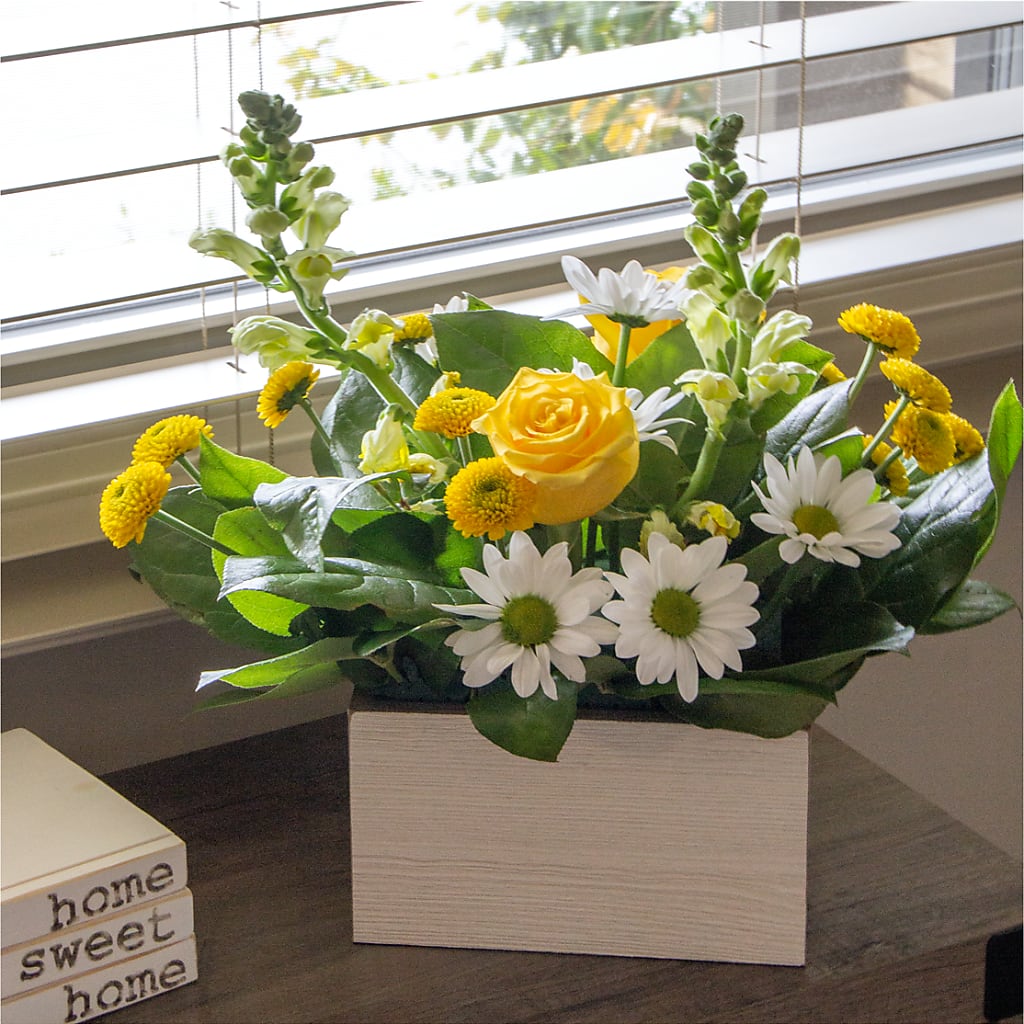 Sun Salutation Box Bouquet – Hawes Florist Llc, Maynard MA