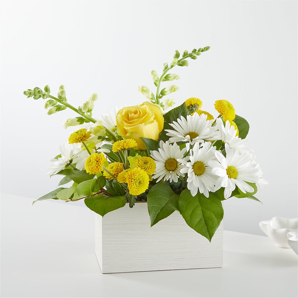 Sun Salutation Box Bouquet – Hawes Florist Llc, Maynard MA