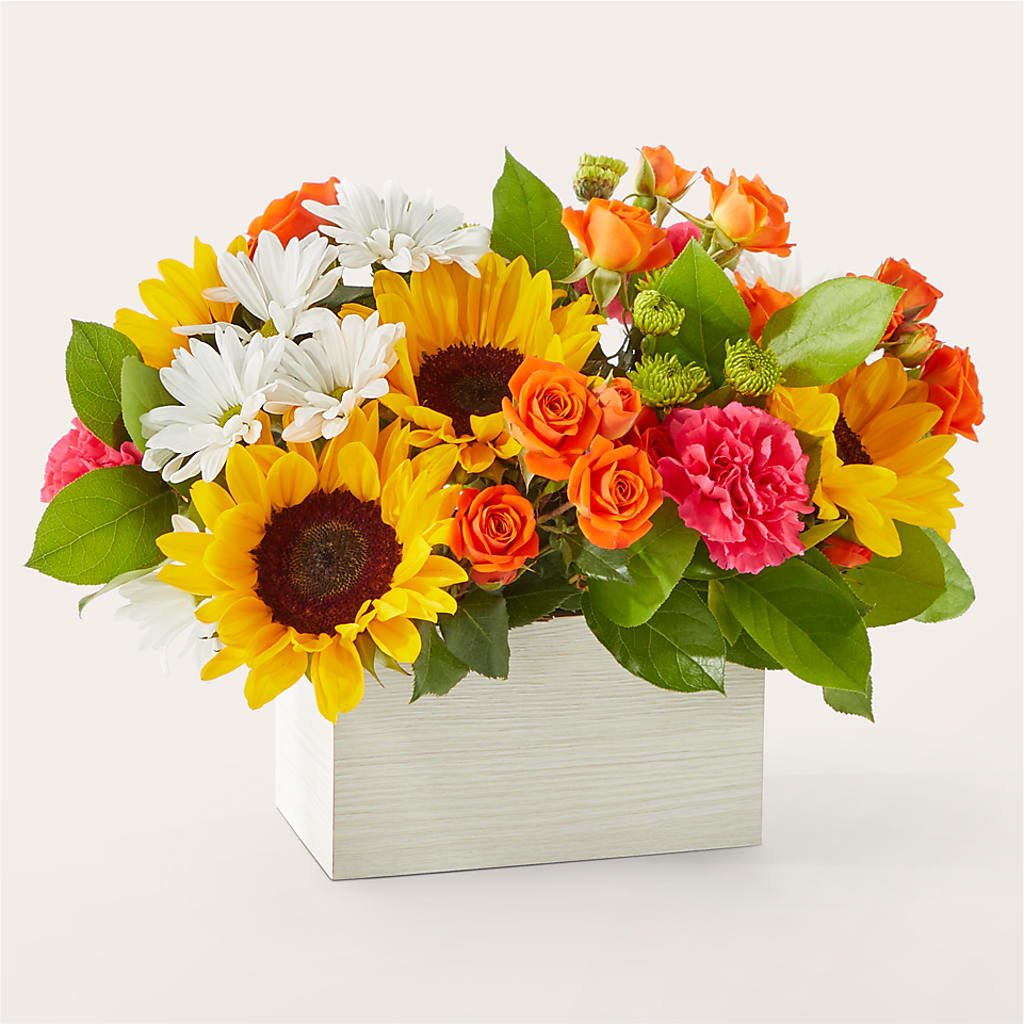Sun-drenched Blooms Box Bouquet – Hawes Florist Llc, Maynard MA