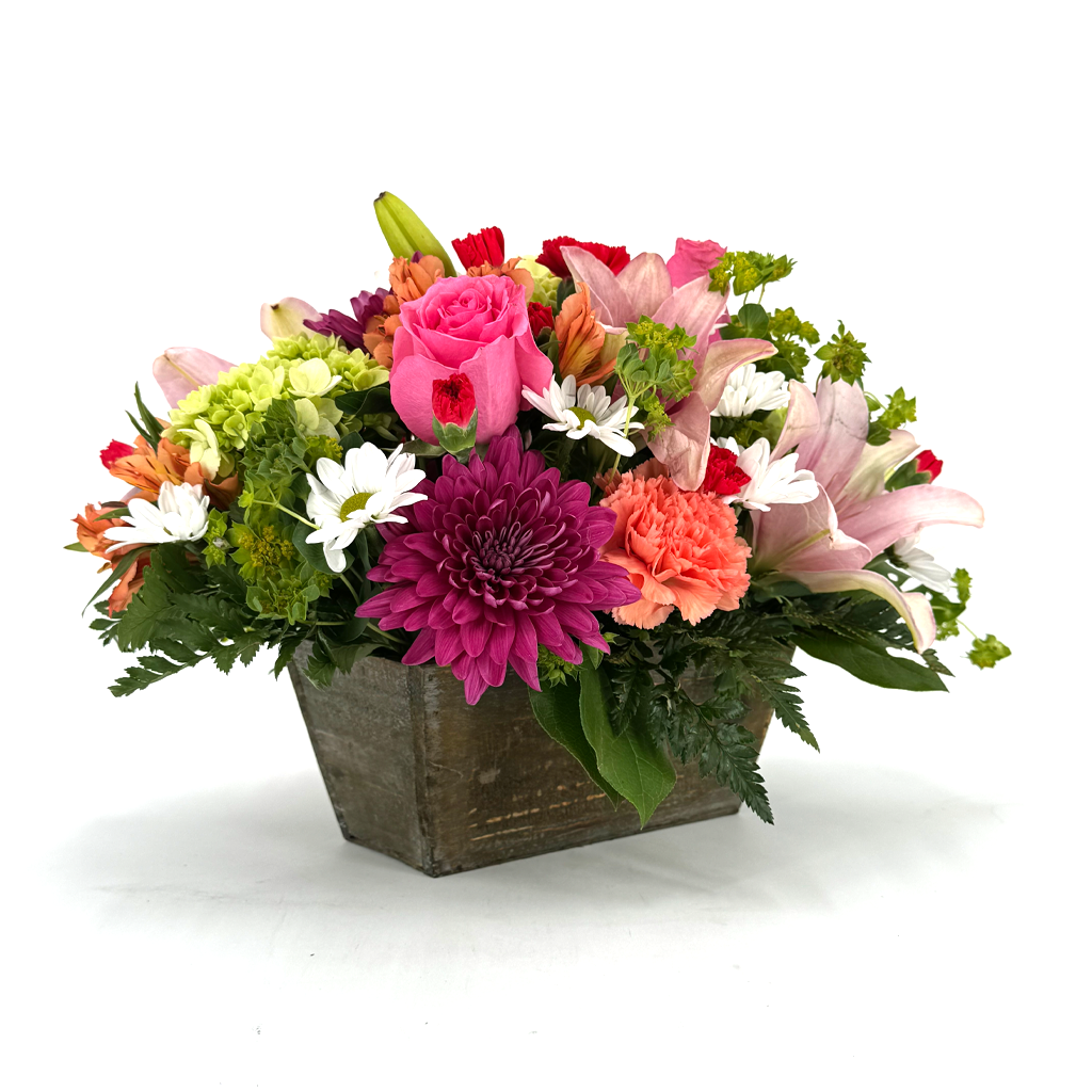 Enchanted Garden Box – Hawes Florist Llc, Maynard MA