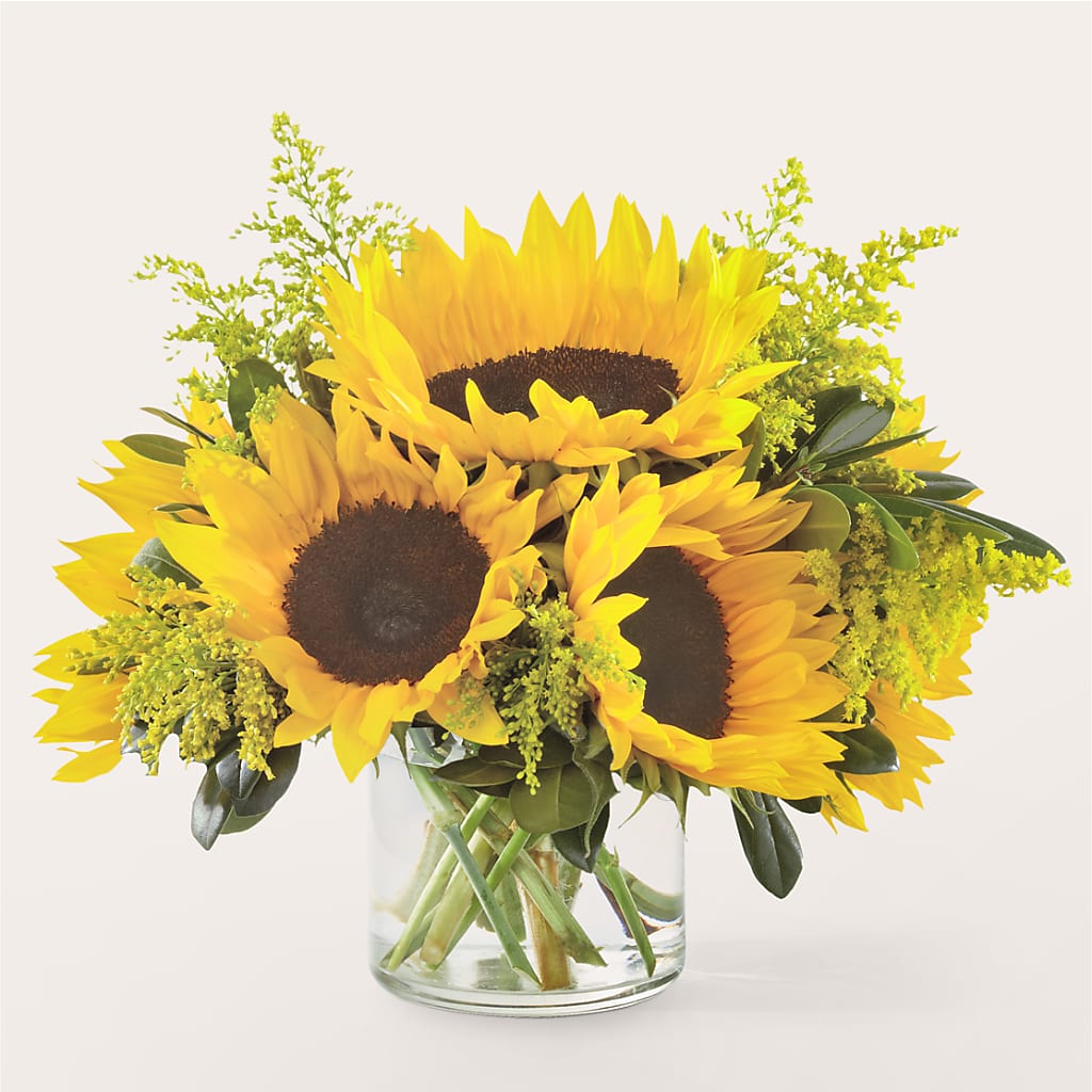 Beaming Sunflower Bouquet – Hawes Florist Llc, Maynard MA