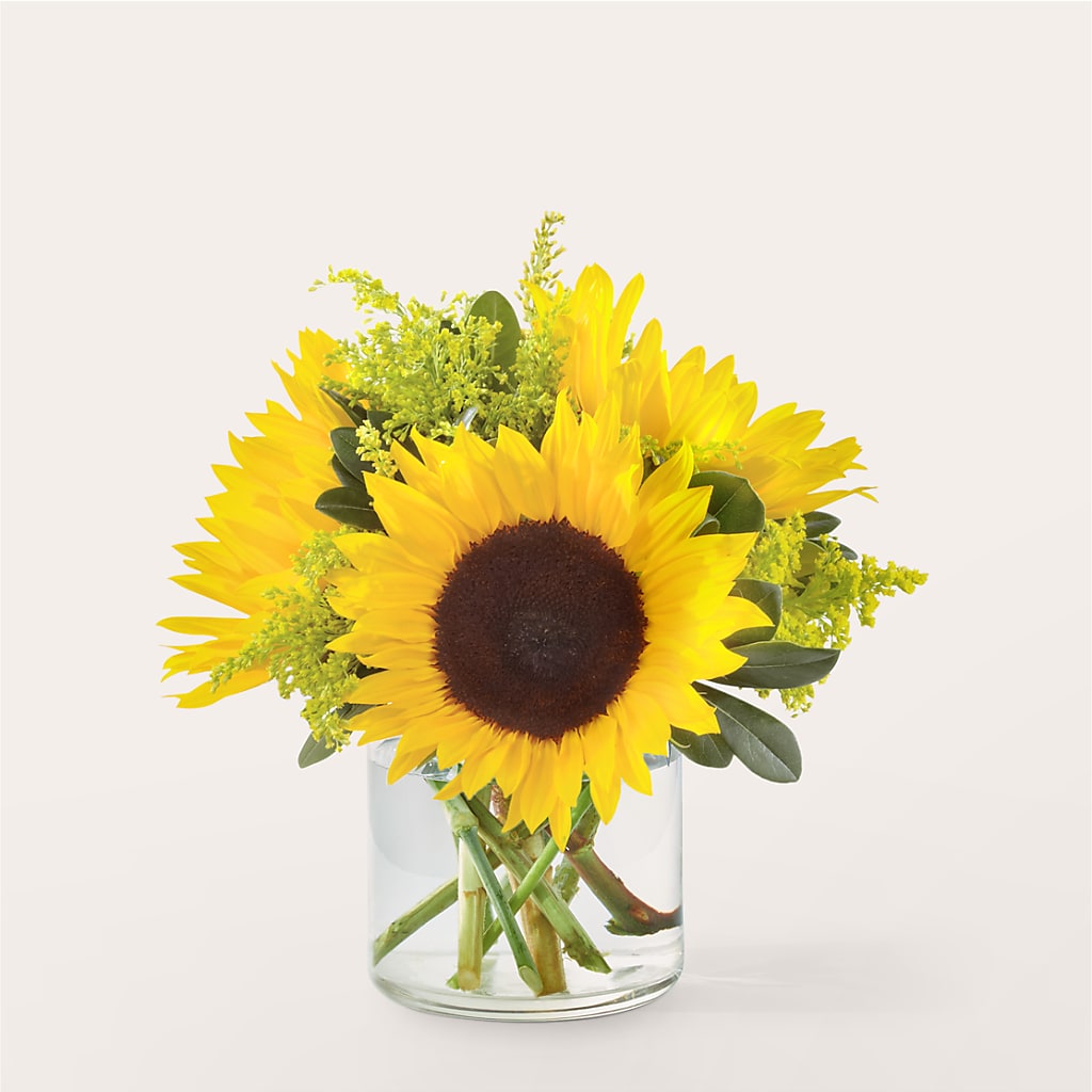 Beaming Sunflower Bouquet – Hawes Florist Llc, Maynard MA
