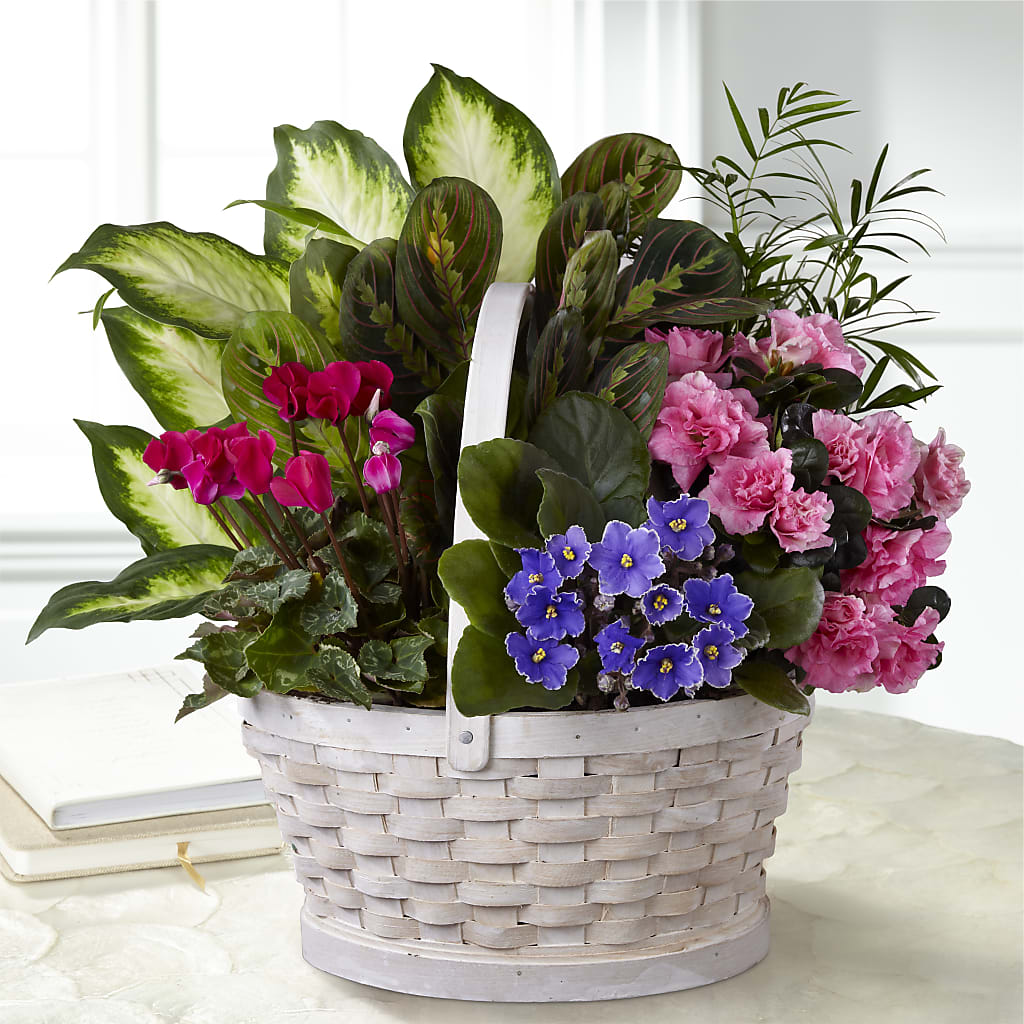 Peaceful Garden Planter – Hawes Florist Llc, Maynard MA