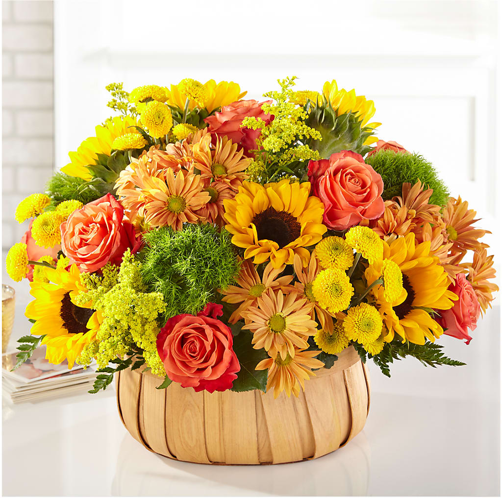 Harvest Sunflower Basket – Hawes Florist Llc, Maynard MA