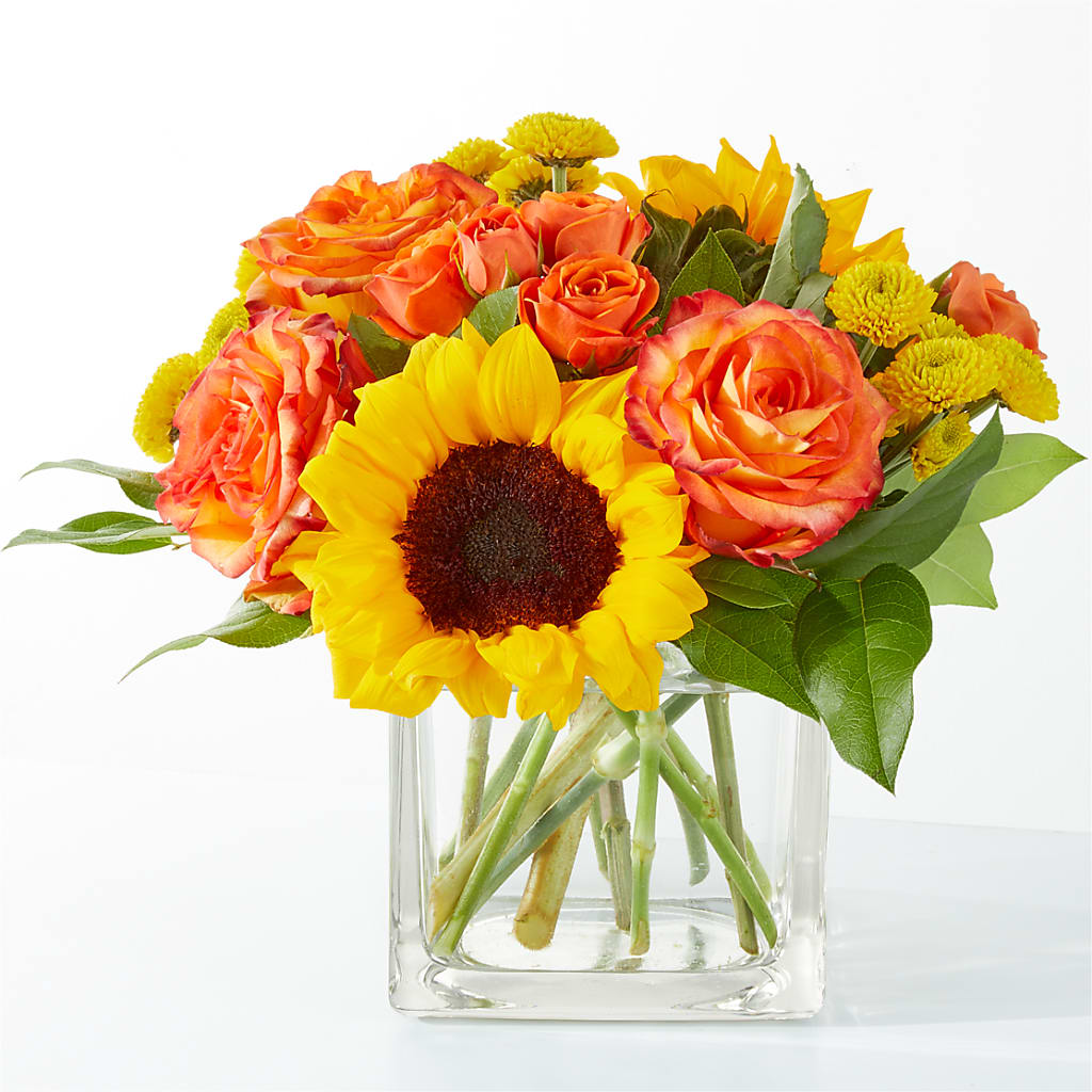 Picnic in the Park Bouquet – Hawes Florist Llc, Maynard MA
