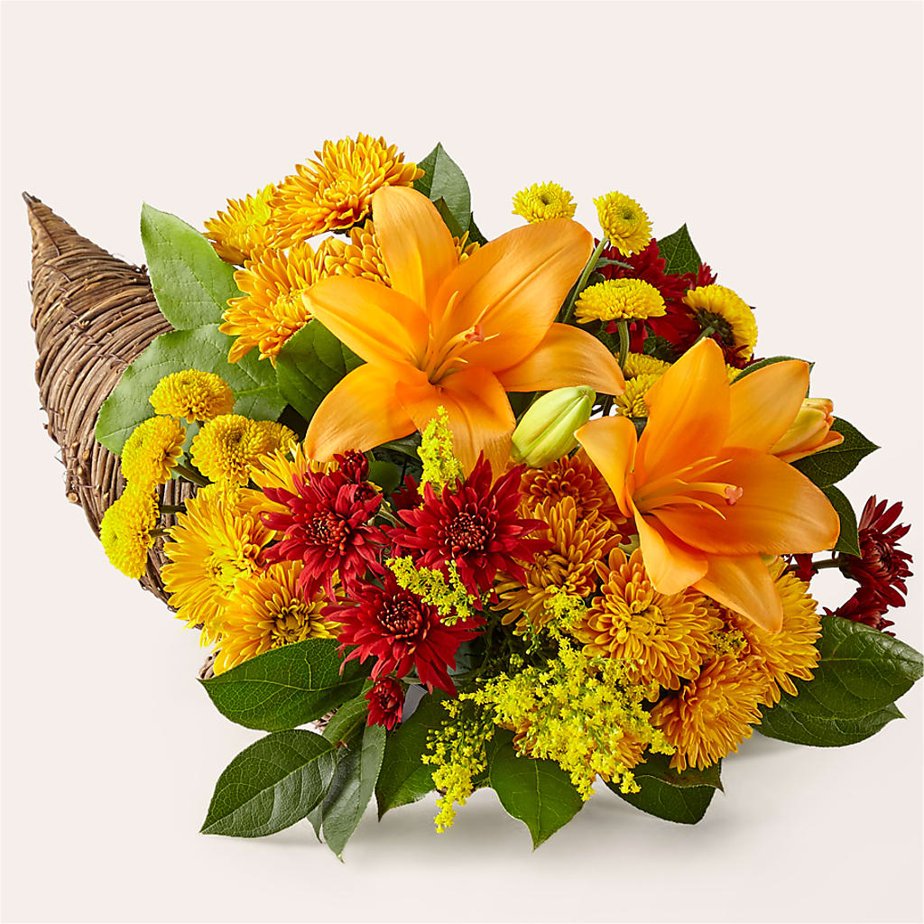 Feast of Color Cornucopia – Hawes Florist Llc, Maynard MA