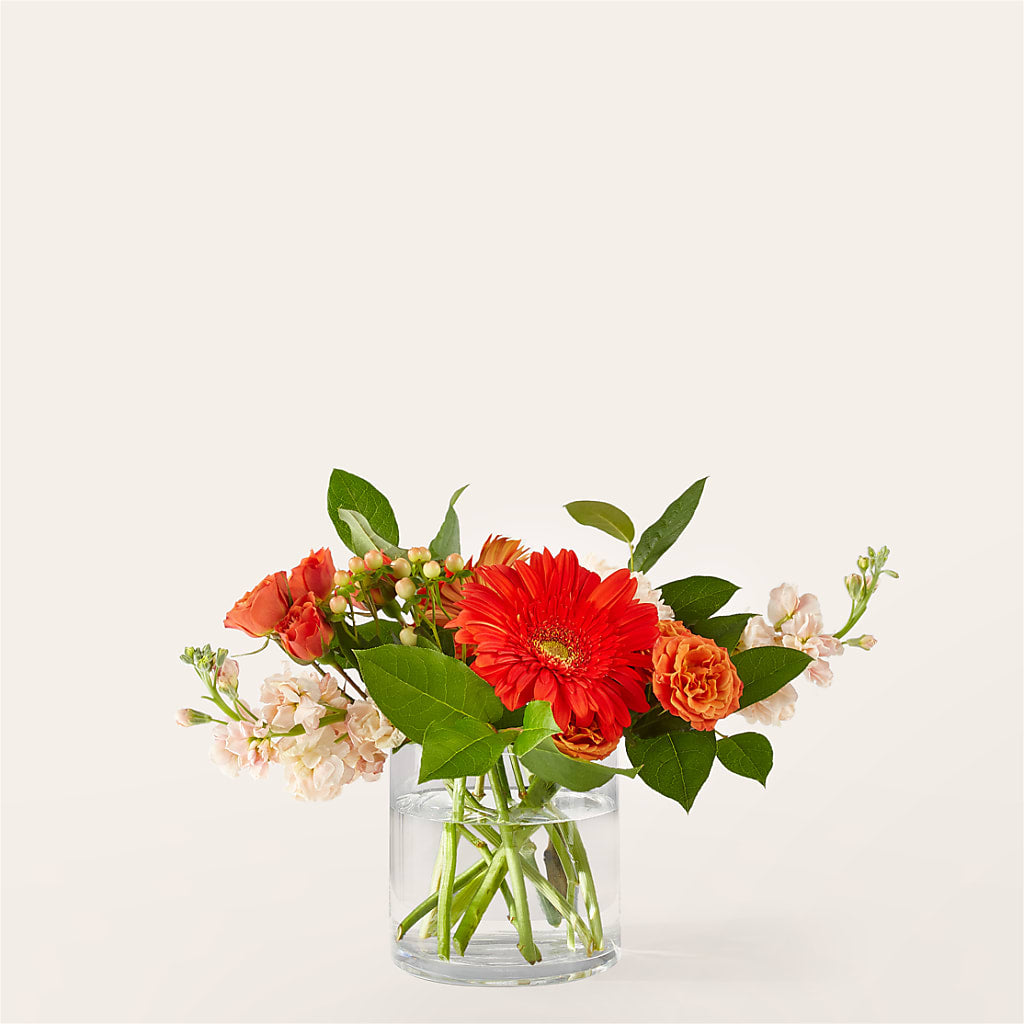 Paloma Please Bouquet – Hawes Florist Llc, Maynard MA