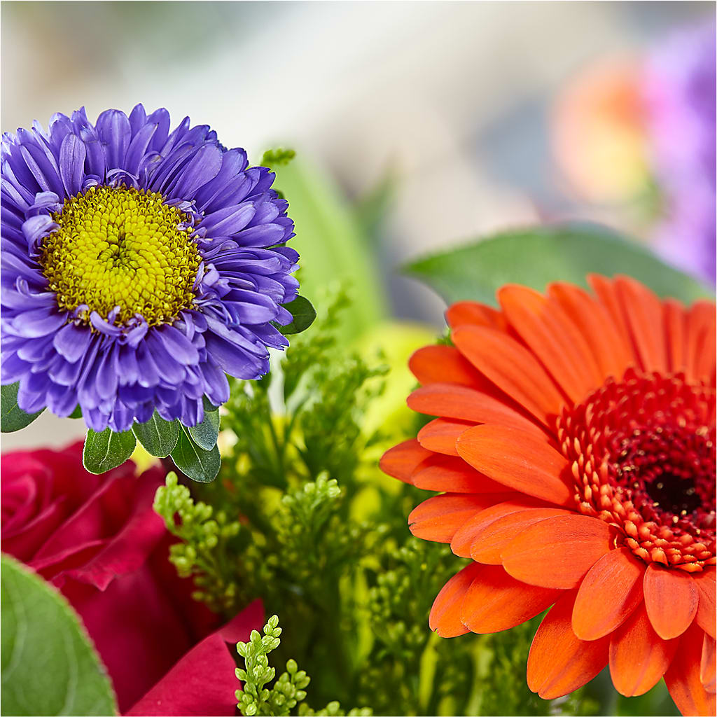 Bold & Bright – A Florist Original –  Hawes Florist Llc, Maynard MA