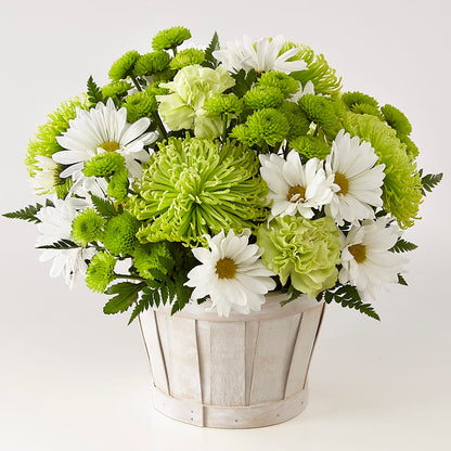 Lucky Charm Basket (Standard) –  Hawes Florist Llc, Maynard MA