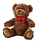 Adorable Plush Bear –  Hawes Florist Llc, Maynard MA