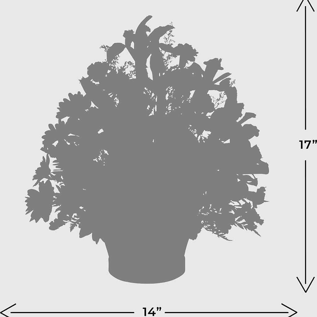 The Wondrous Nature Bouquet –  Hawes Florist Llc, Maynard MA