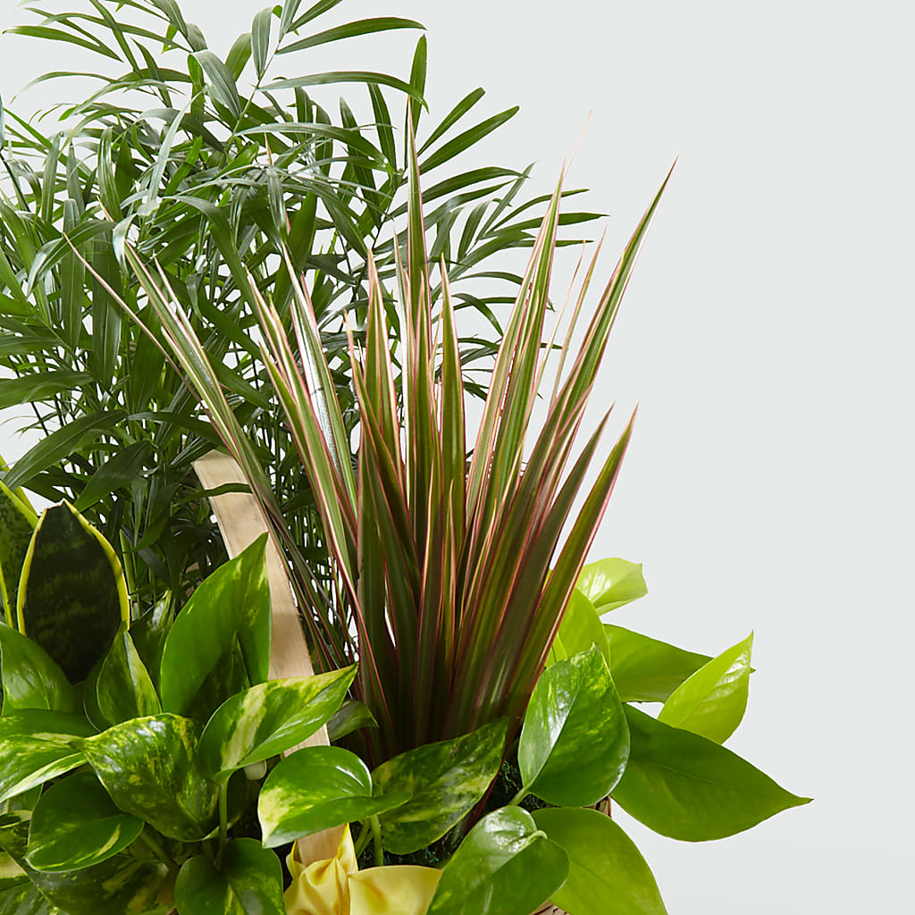 French Garden –  Hawes Florist Llc, Maynard MA