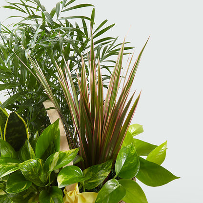 French Garden –  Hawes Florist Llc, Maynard MA