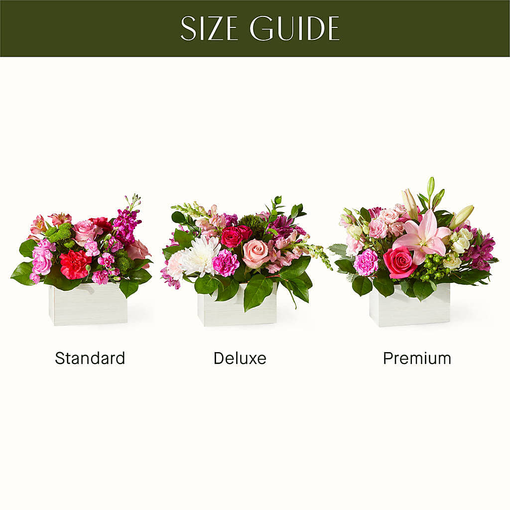 Sweetberry Box – A Florist Original –  Hawes Florist Llc, Maynard MA