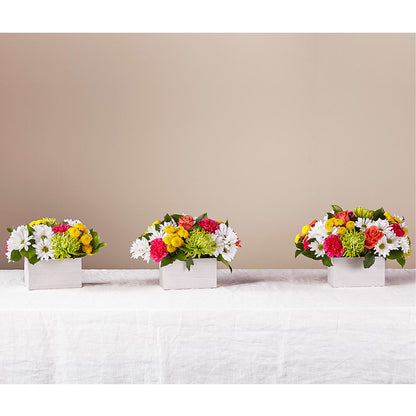 Sorbet Bouquet –  Hawes Florist Llc, Maynard MA