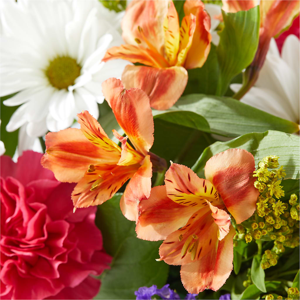Oopsie Daisy Box Bouquet –  Hawes Florist Llc, Maynard MA
