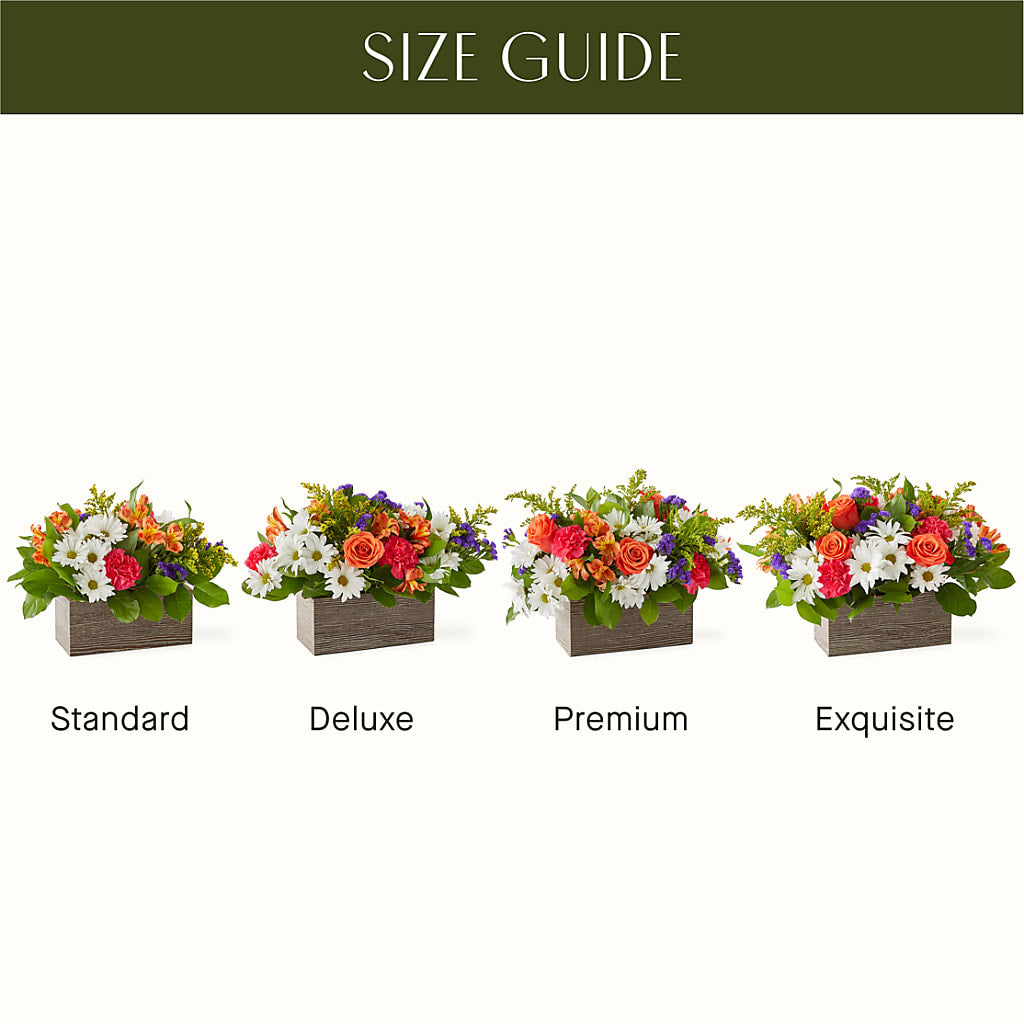Oopsie Daisy Box Bouquet –  Hawes Florist Llc, Maynard MA