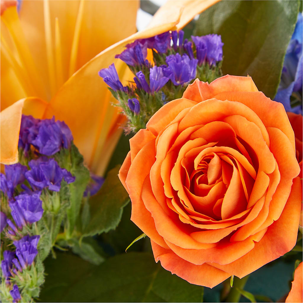 Radiant Citrus Box Bouquet –  Hawes Florist Llc, Maynard MA