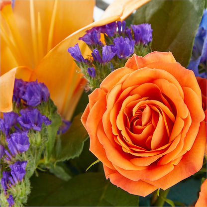 Radiant Citrus Box Bouquet –  Hawes Florist Llc, Maynard MA