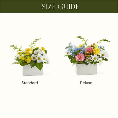 Sun Salutation Box Bouquet –  Hawes Florist Llc, Maynard MA