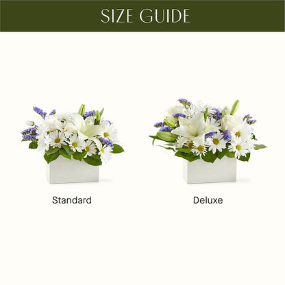Beyond Blue Box Bouquet –  Hawes Florist Llc, Maynard MA
