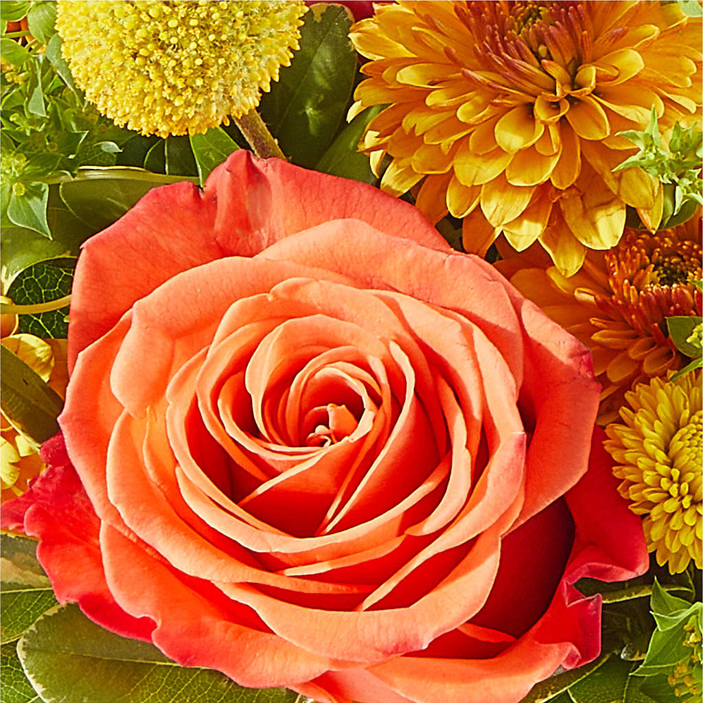 Gourdgeous Pumpkin –  Hawes Florist Llc, Maynard MA