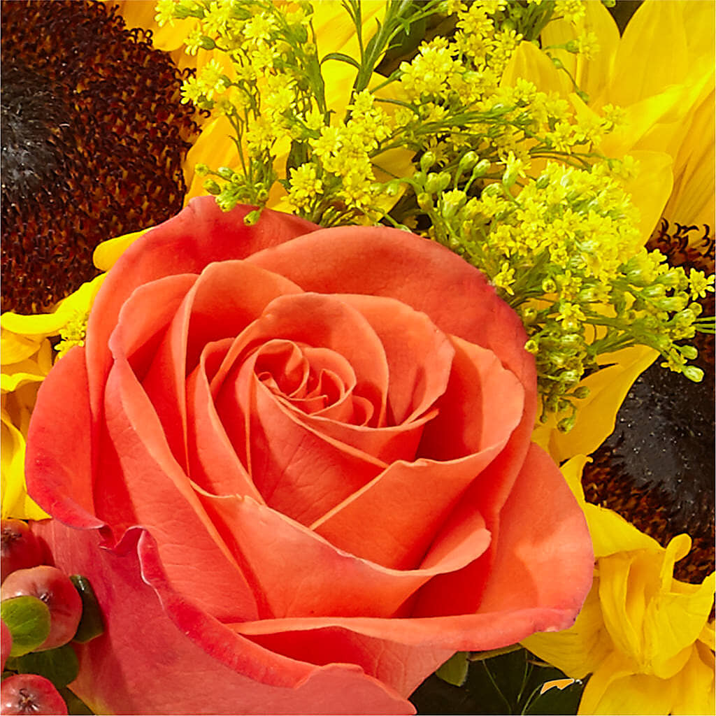 Pick of the Patch Pumpkin Bouquet –  Hawes Florist Llc, Maynard MA