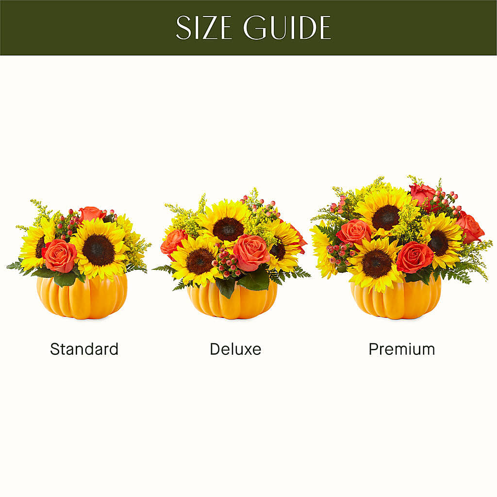 Pick of the Patch Pumpkin Bouquet –  Hawes Florist Llc, Maynard MA