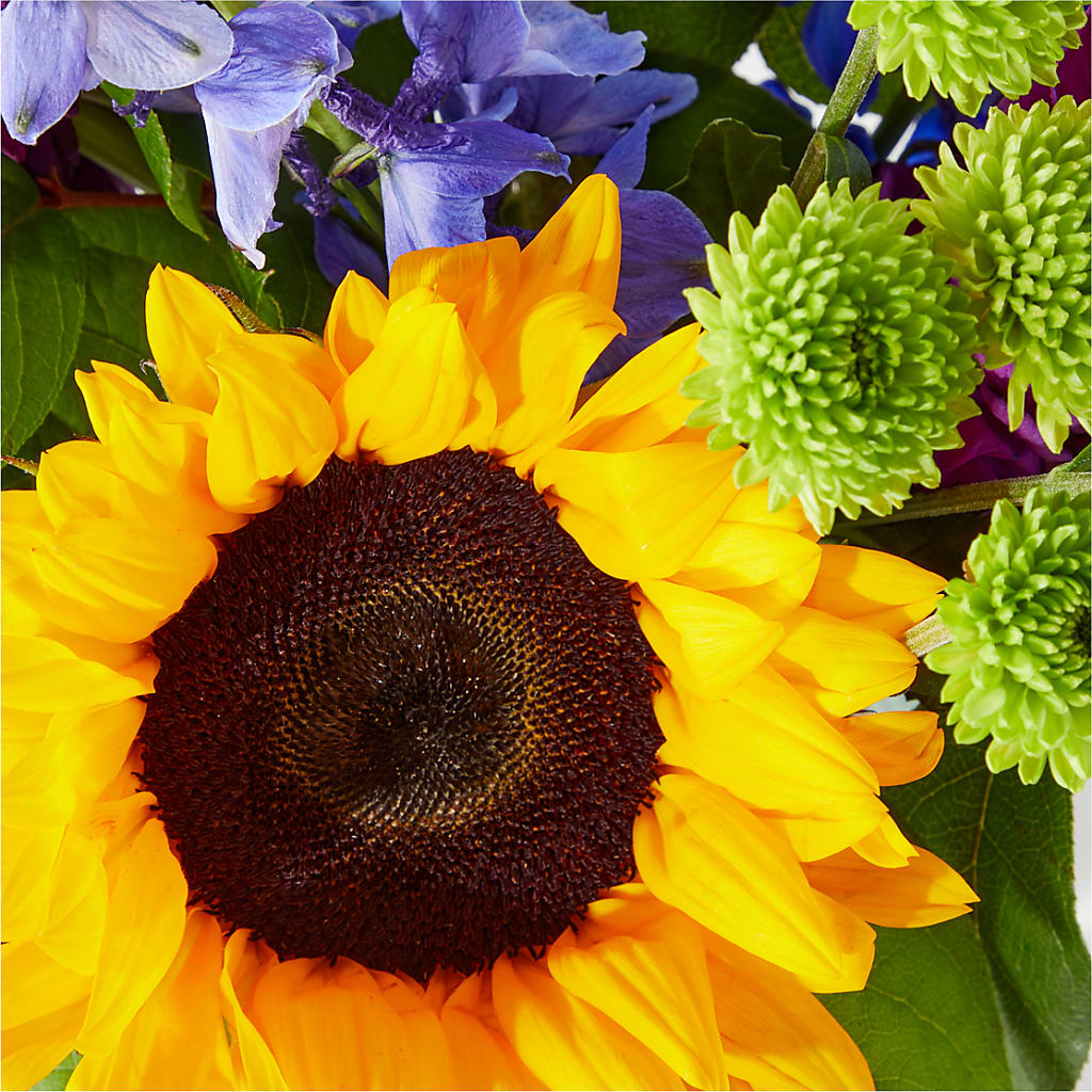Catching Rays Bouquet –  Hawes Florist Llc, Maynard MA