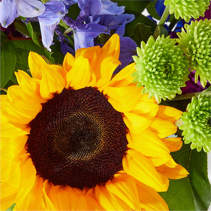 Catching Rays Bouquet –  Hawes Florist Llc, Maynard MA