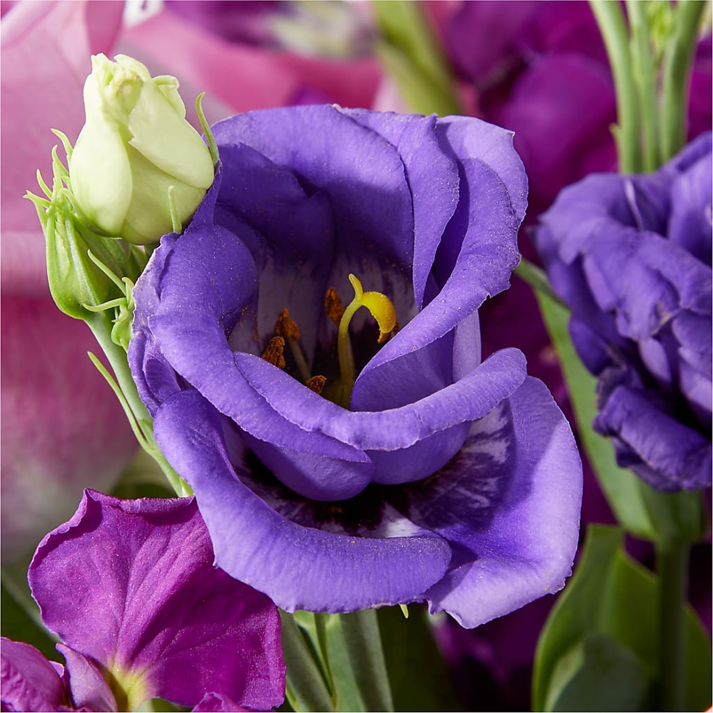 Twilight Glow Bouquet –  Hawes Florist Llc, Maynard MA