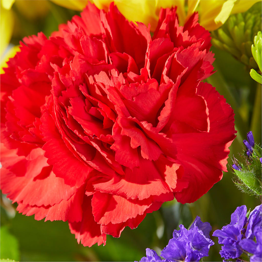 Brighter Days Bouquet –  Hawes Florist Llc, Maynard MA