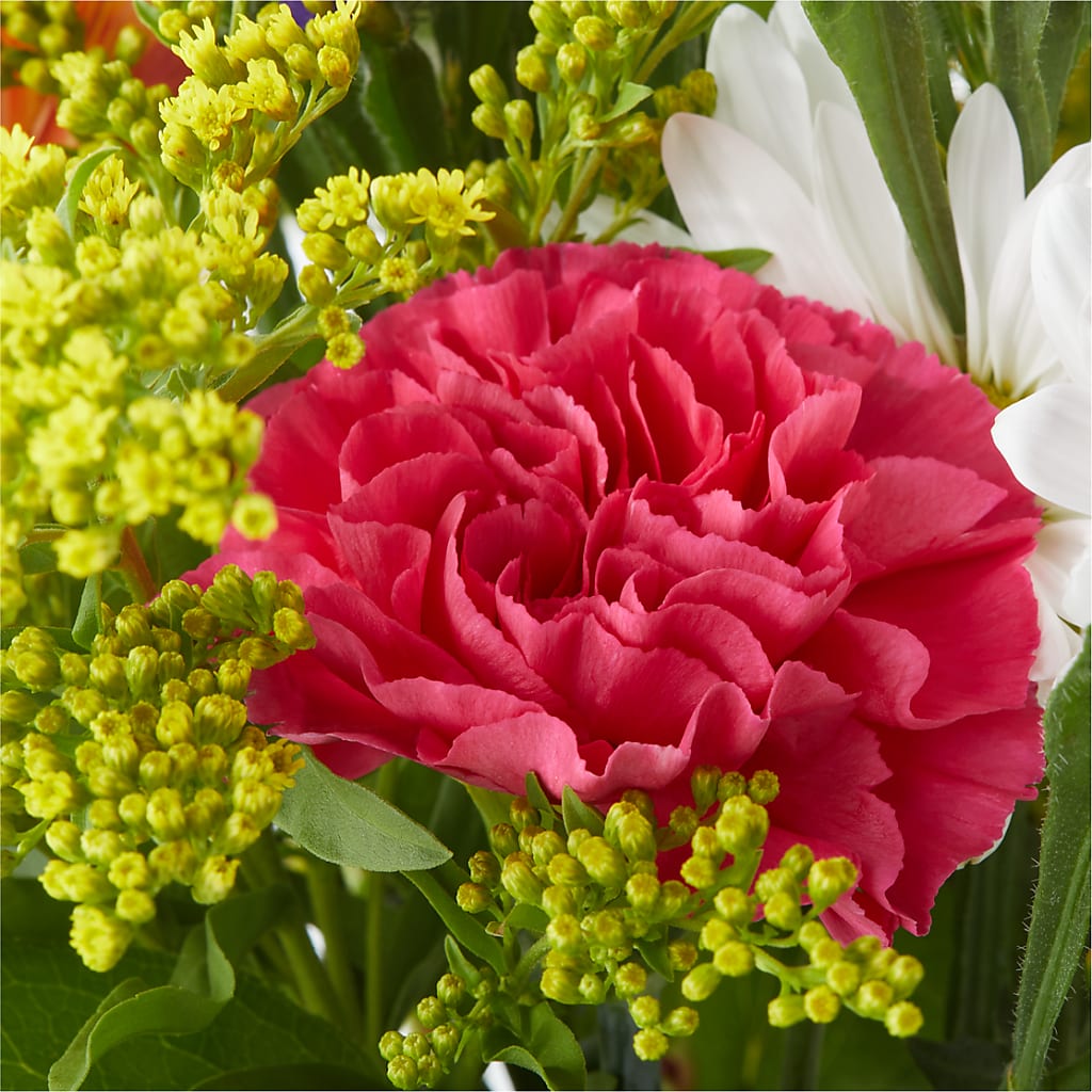 Oopsie Daisy Bouquet –  Hawes Florist Llc, Maynard MA