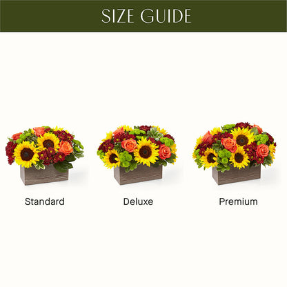 Happy Harvest Garden –  Hawes Florist Llc, Maynard MA