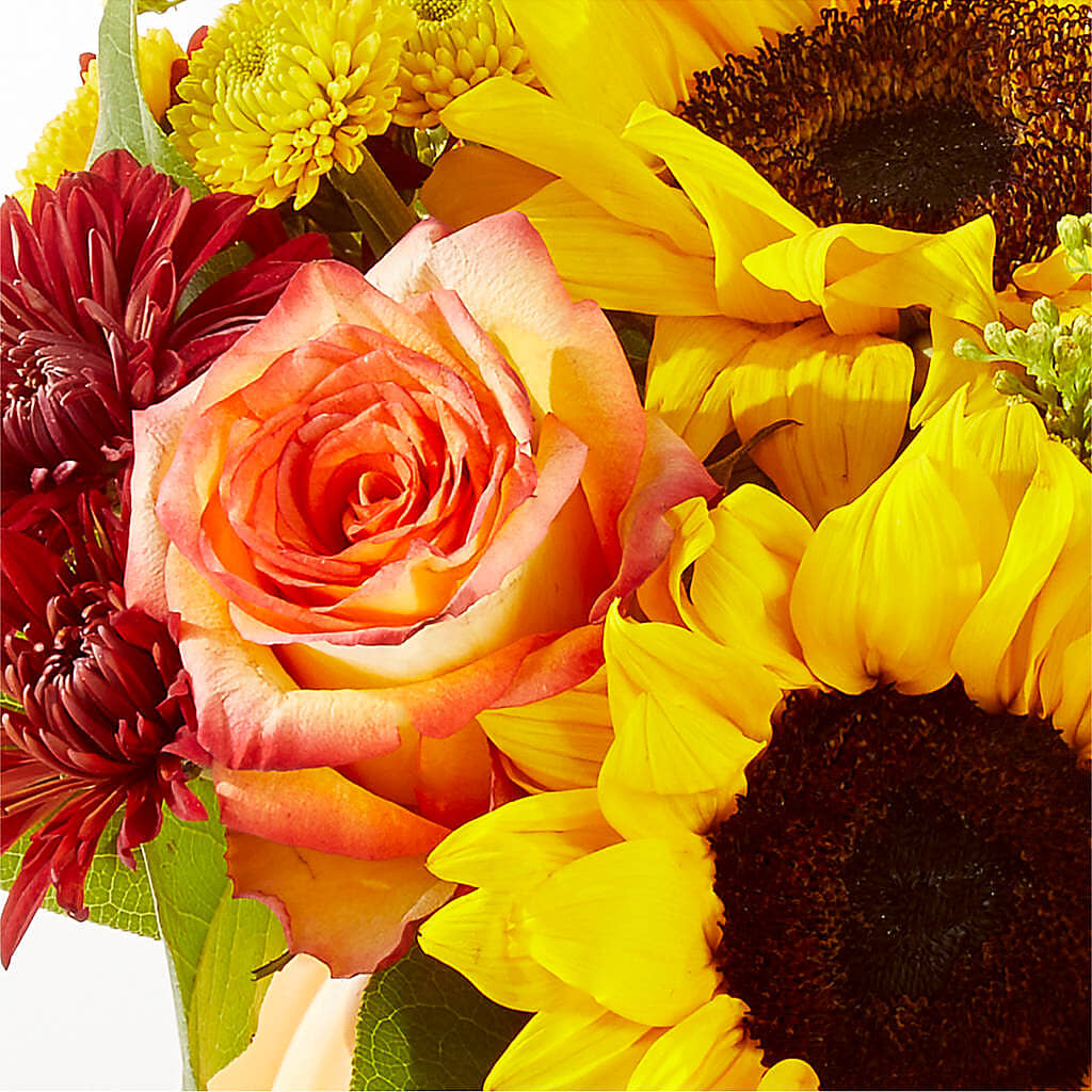 Golden Gourd Pumpkin Bouquet –  Hawes Florist Llc, Maynard MA