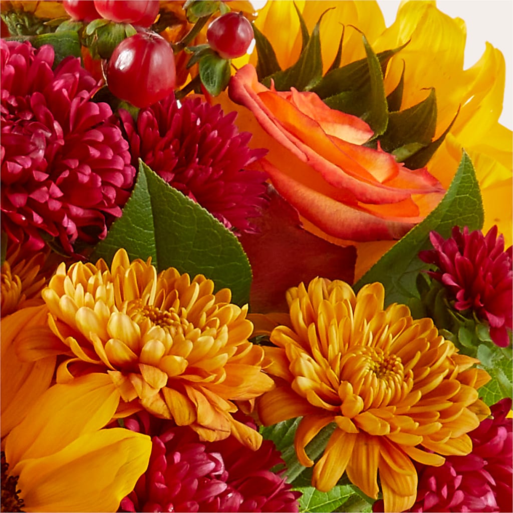 Sweater Season - A Florist Original –  Hawes Florist Llc, Maynard MA