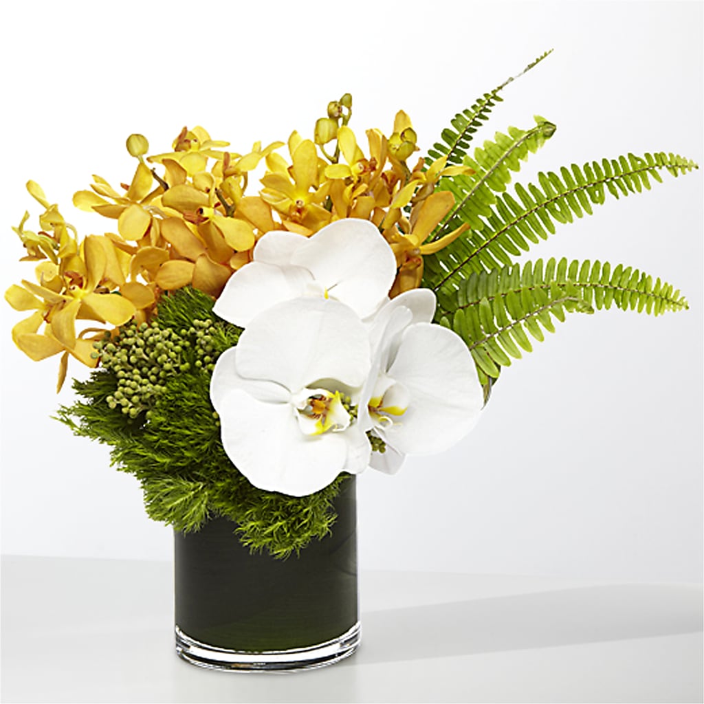 The Tropics –  Hawes Florist Llc, Maynard MA