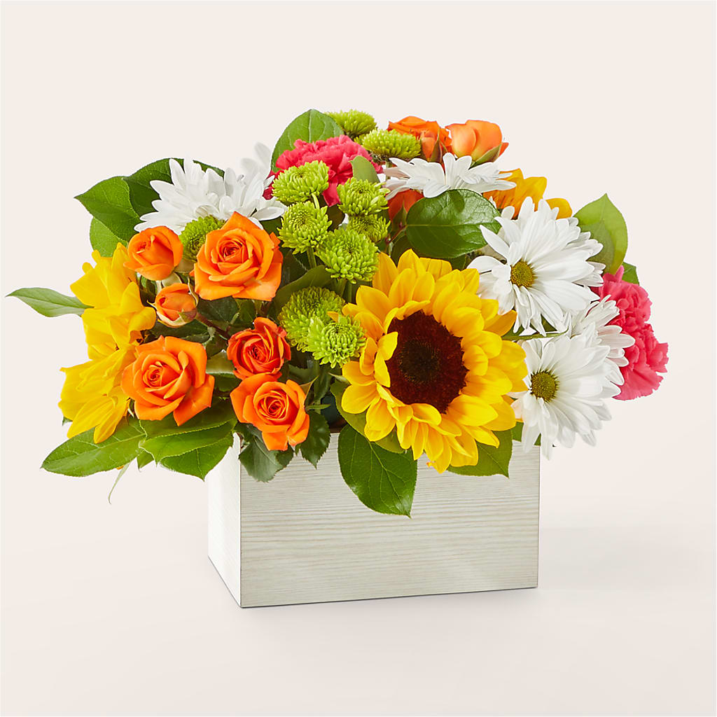 Sun-drenched Blooms Box Bouquet –  Hawes Florist Llc, Maynard MA