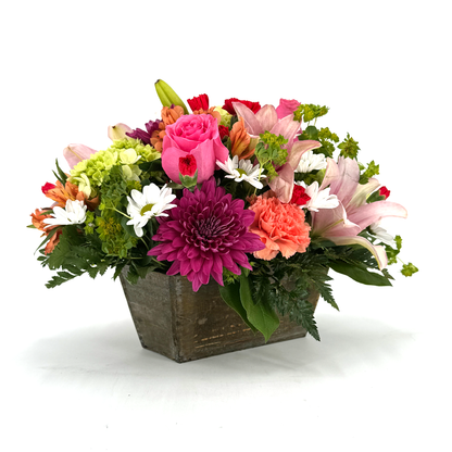 Enchanted Garden Box –  Hawes Florist Llc, Maynard MA