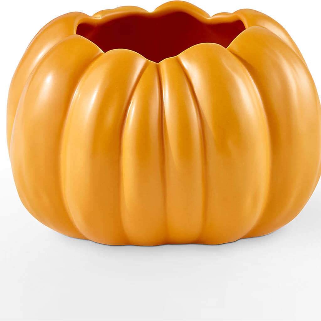 Pick of the Patch Pumpkin Bouquet –  Hawes Florist Llc, Maynard MA