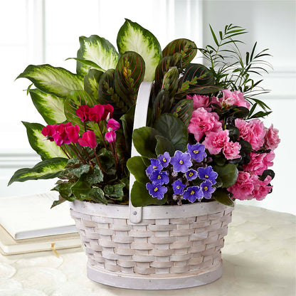 Peaceful Garden Planter –  Hawes Florist Llc, Maynard MA