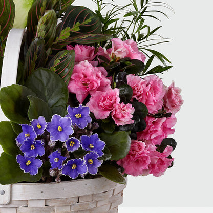 Peaceful Garden Planter –  Hawes Florist Llc, Maynard MA