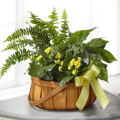 Always Dear Dishgarden –  Hawes Florist Llc, Maynard MA