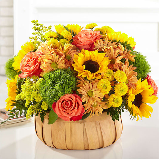 Harvest Sunflower Basket –  Hawes Florist Llc, Maynard MA