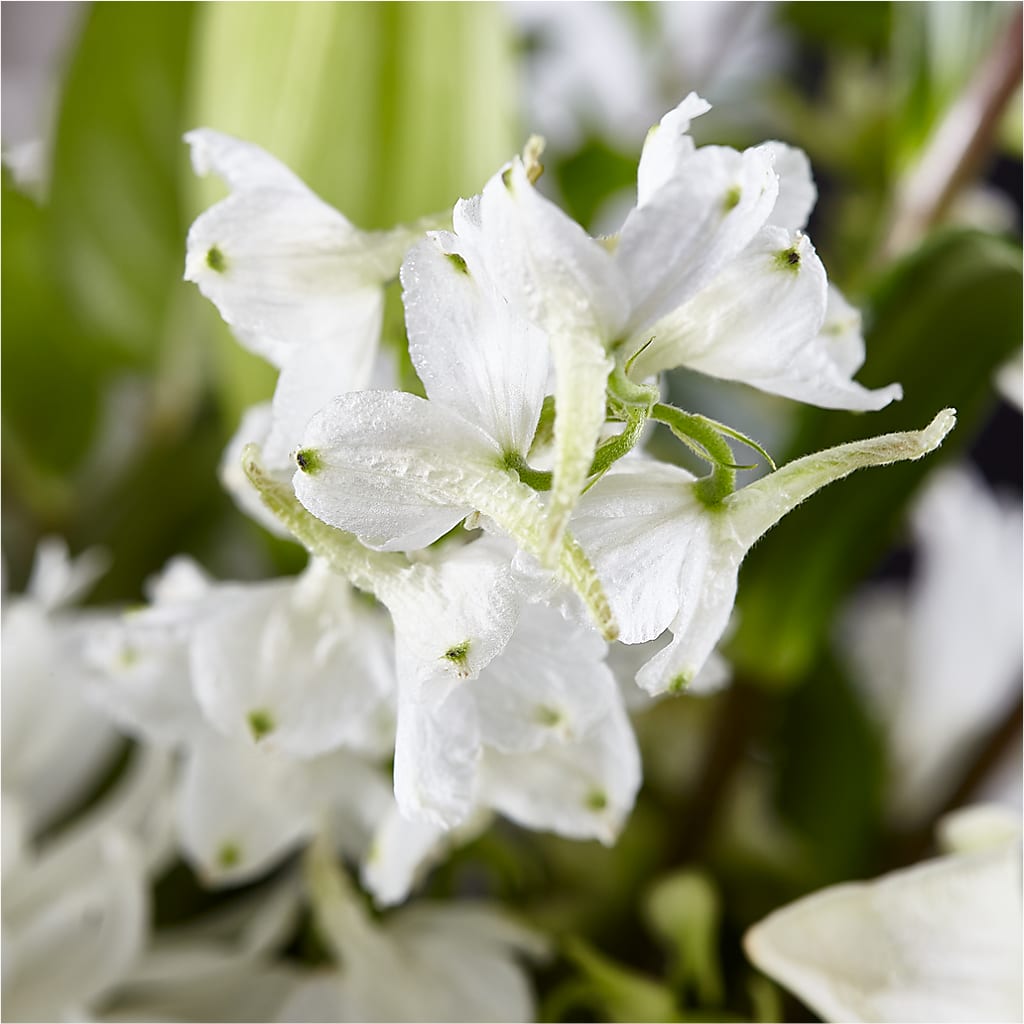 Classic Ivory – A Florist Original –  Hawes Florist Llc, Maynard MA
