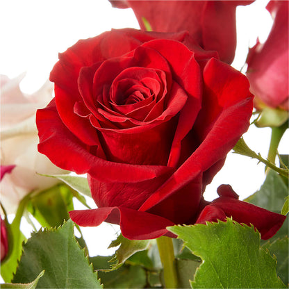Love Notes Rose Bouquet –  Hawes Florist Llc, Maynard MA
