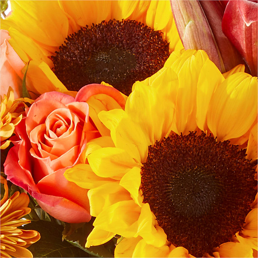 Acorn Lane Bouquet –  Hawes Florist Llc, Maynard MA